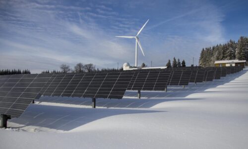 Mehr Umsatz mit erneuerbaren Energien: Was Unternehmen wissen müssen