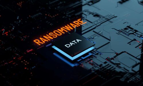 Experten warnen vor steigender Gefahr durch Ransomware-Attacken: Das können Sie im Falle des Falles tun